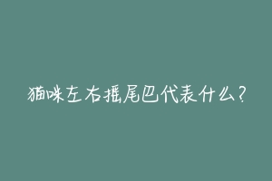 猫咪左右摇尾巴代表什么?-动物百科