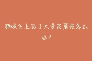 猫咪头上起了大量皮屑该怎么办？-动物百科