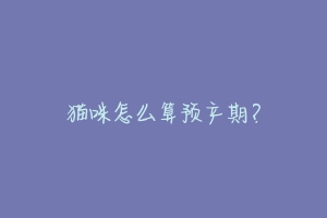 猫咪怎么算预产期？-动物百科