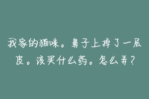 我家的猫咪。鼻子上掉了一层皮。该买什么药。怎么弄?-动物百科