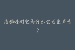 摸猫咪时它为什么会发出声音?-动物百科