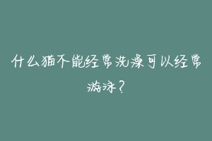 什么猫不能经常洗澡可以经常游泳?-动物百科
