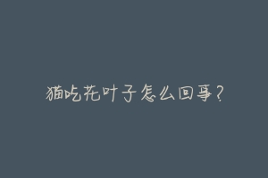 猫吃花叶子怎么回事?-动物百科
