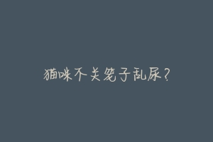 猫咪不关笼子乱尿?-动物百科