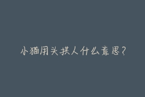 小猫用头拱人什么意思?-动物百科