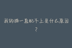 我的猫一直配不上是什么原因？-动物百科