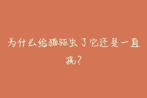 为什么给猫驱虫了它还是一直挠?-动物百科