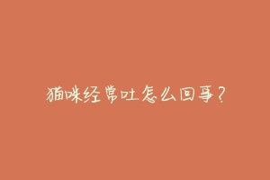 猫咪经常吐怎么回事?-动物百科