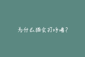 为什么猫会打呼噜?-动物百科