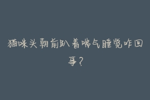 猫咪头朝前趴着喘气睡觉咋回事?-动物百科