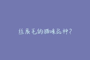 丝质毛的猫咪品种?-动物百科