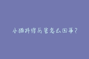 小猫抖得厉害怎么回事？-动物百科