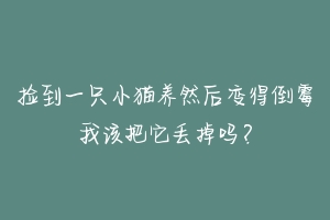 捡到一只小猫养然后变得倒霉我该把它丢掉吗?-动物百科