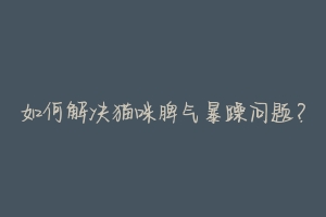 如何解决猫咪脾气暴躁问题?-动物百科