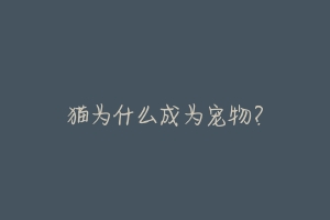 猫为什么成为宠物?-动物百科