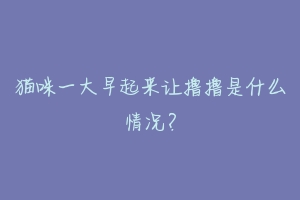 猫咪一大早起来让撸撸是什么情况?-动物百科