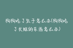 狗狗吃了虫子怎么办(狗狗吃了长蛆的东西怎么办)-动物百科