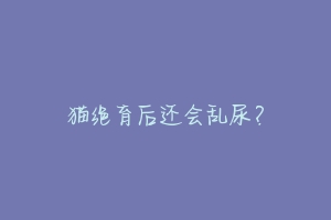 猫绝育后还会乱尿?-动物百科