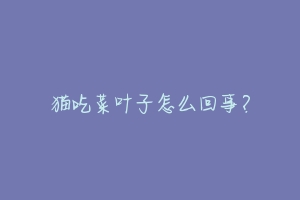 猫吃菜叶子怎么回事?-动物百科