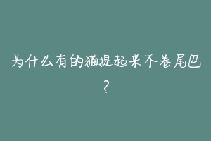 为什么有的猫提起来不卷尾巴?-动物百科