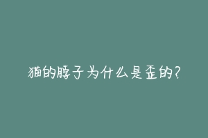 猫的脖子为什么是歪的?-动物百科