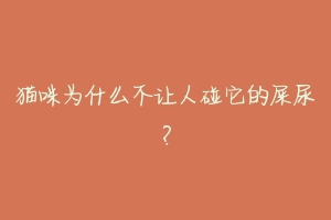 猫咪为什么不让人碰它的屎尿?-动物百科