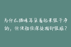 为什么猫咪耳朵看起来很干净的,但使劲往深处掏却很脏?-动物百科