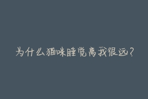 为什么猫咪睡觉离我很远?-动物百科