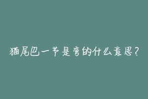 猫尾巴一节是弯的什么意思？-动物百科