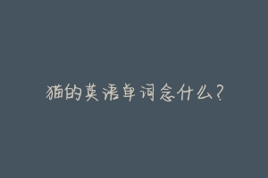 猫的英语单词念什么?-动物百科