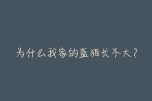 为什么我家的蓝猫长不大?-动物百科