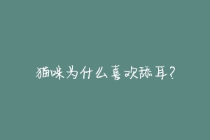 猫咪为什么喜欢舔耳?-动物百科