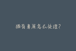 猫有鼻屎怎么处理?-动物百科