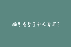 猫弓着身子什么意思?-动物百科