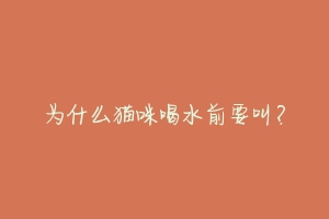 为什么猫咪喝水前要叫?-动物百科