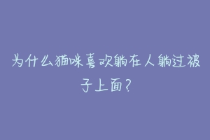 为什么猫咪喜欢躺在人躺过被子上面?-动物百科