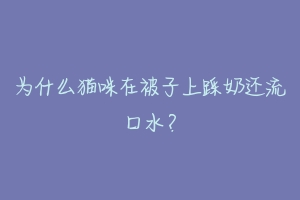为什么猫咪在被子上踩奶还流口水?-动物百科