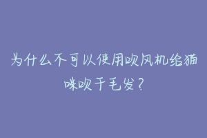为什么不可以使用吹风机给猫咪吹干毛发?-动物百科