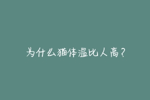 为什么猫体温比人高?-动物百科