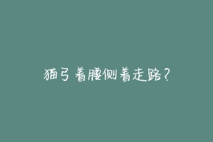猫弓着腰侧着走路?-动物百科