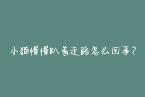 小猫慢慢趴着走路怎么回事?-动物百科
