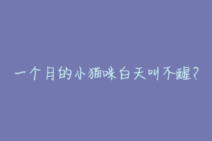 一个月的小猫咪白天叫不醒?-动物百科
