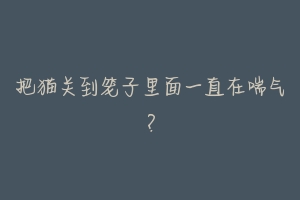 把猫关到笼子里面一直在喘气?-动物百科