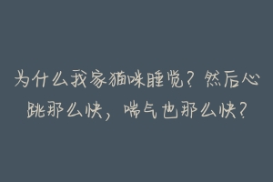为什么我家猫咪睡觉?然后心跳那么快,喘气也那么快?-动物百科