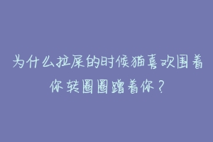 为什么拉屎的时候猫喜欢围着你转圈圈蹭着你?-动物百科