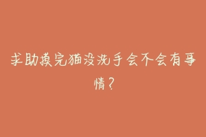 求助摸完猫没洗手会不会有事情？-动物百科