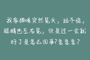 我家猫咪突然晃头,站不稳,眼睛也左右晃,但是过一会就好了是怎么回事?急急急?-动物百科
