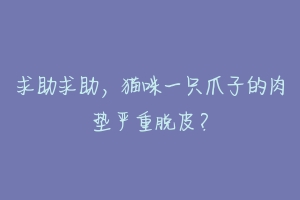 求助求助,猫咪一只爪子的肉垫严重脱皮?-动物百科