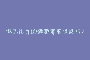 做完绝育的猫猫需要保暖吗?-动物百科