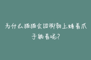 为什么猫猫会四脚朝上蜷着爪子躺着呢?-动物百科